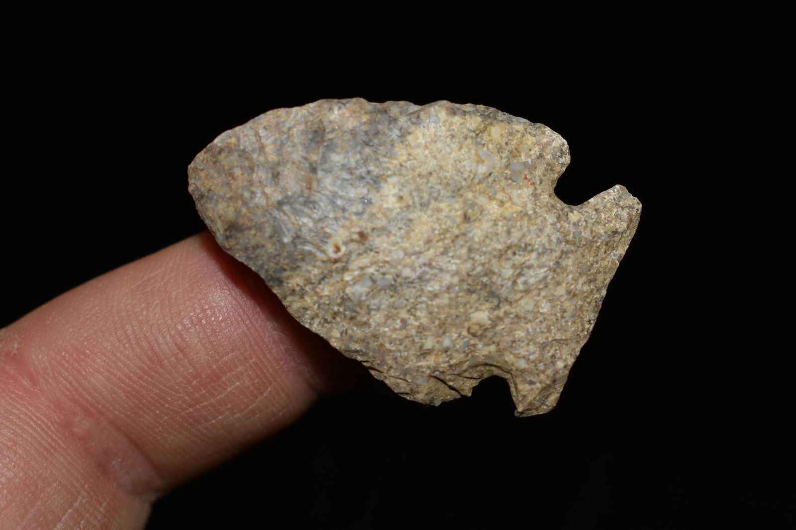 1 1/2" Side Notch, Found in Kentucky (1 of 3)