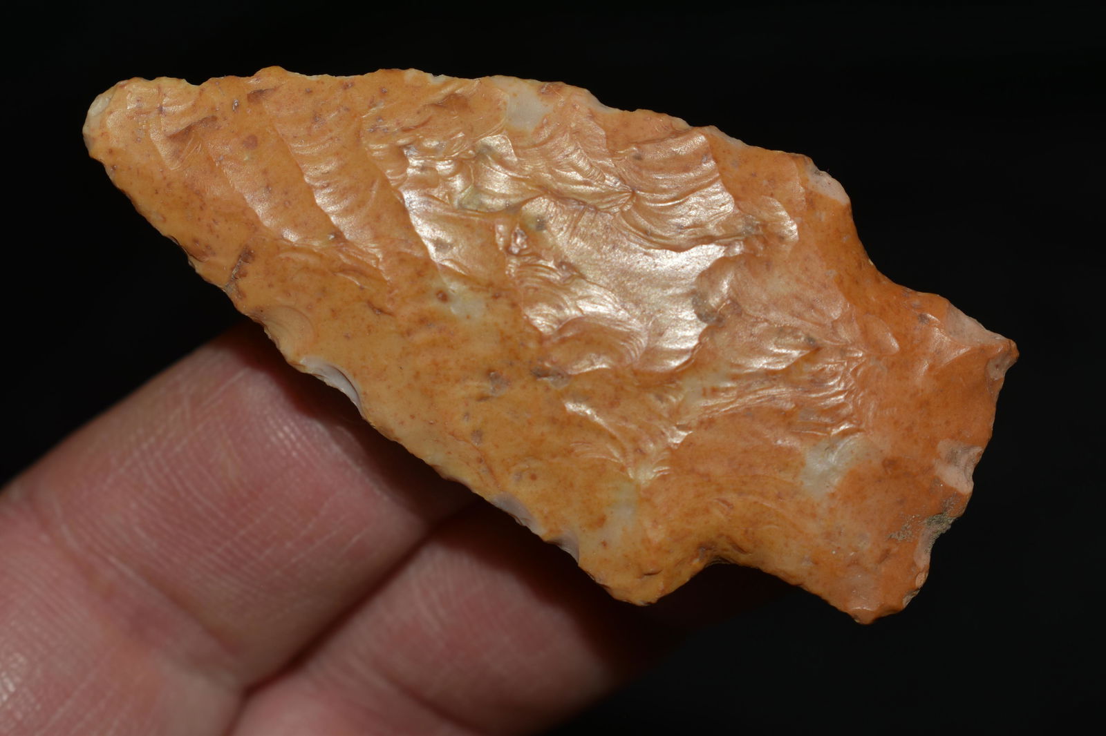 2 3/8" Adena Robins heavily river stained and polished found by Ben Bauer in Polk Co, Missouri. (1 of 4)