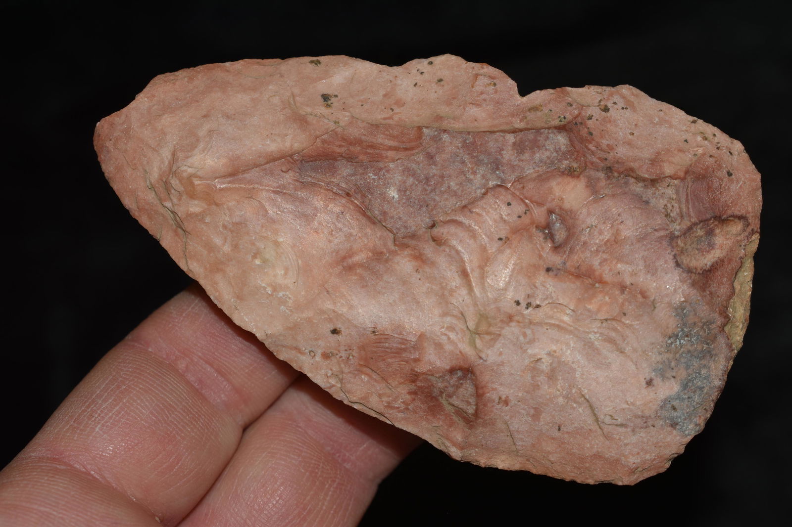 2 5/8" Woodland Blade found by Justin Barker Pike Co, Illinois. (1 of 4)