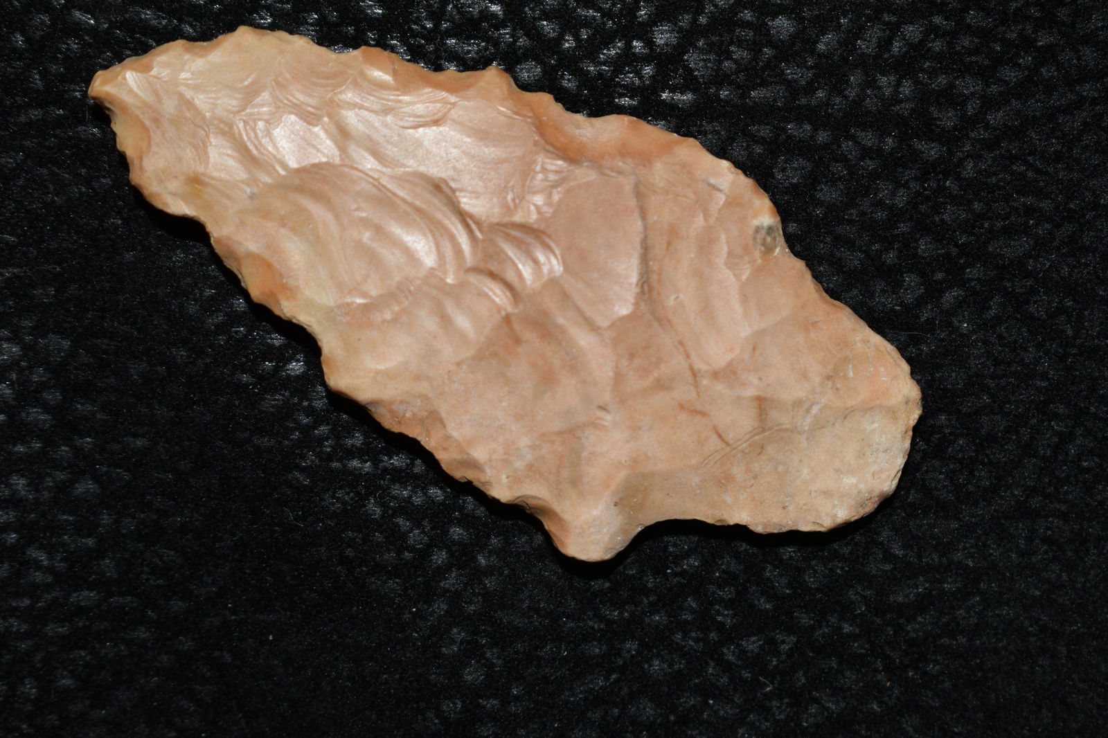 2 11/16" Adena found by Ben bauer in Polk Co,Missouri. (1 of 4)