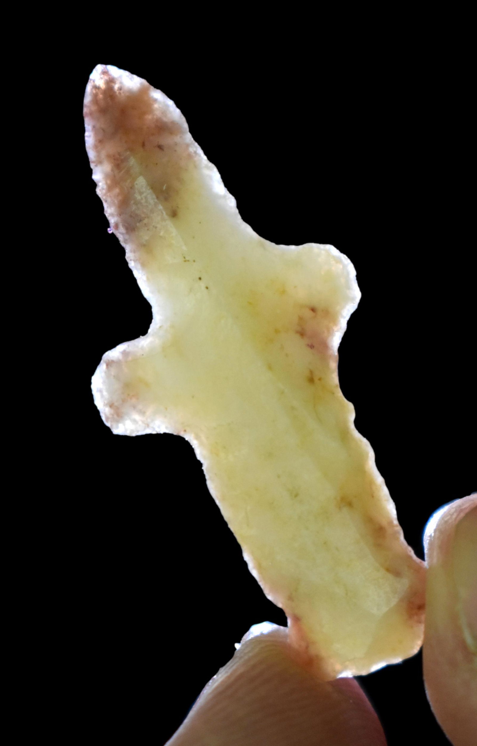 RARE KAOLIN FLINT ECCENTRIC LIZARD EFFIGY FOUND IN MADISON COUNTY ILLINOIS, 1 5/8" LONG, NATIVE (1 of 6)