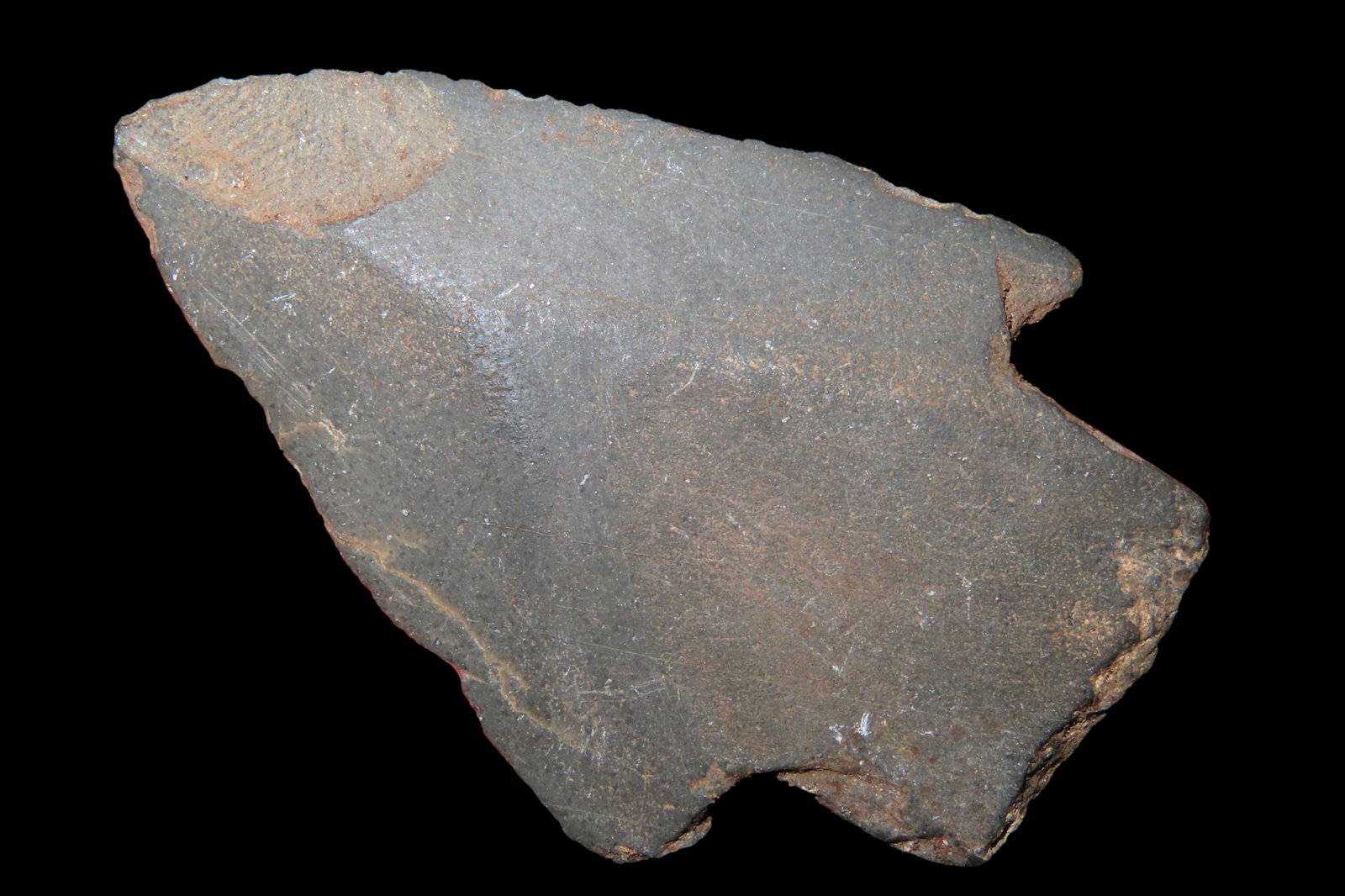 RARE 2 1/4" SLATE POINT ARROWHEAD FOUND IN NEW JERSEY, GREAT EXAMPLE, VERY WELL SHAPED, FROM THE (1 of 4)