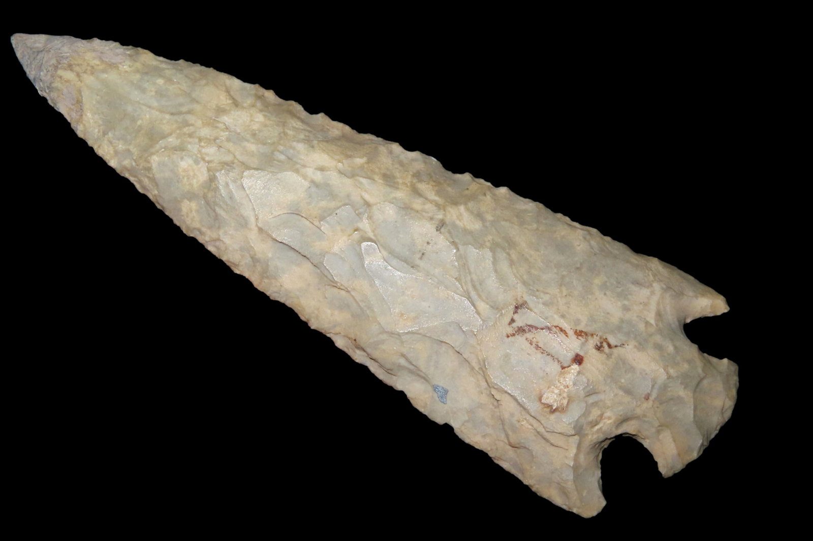 AMAZING 5" MOTLEY / BUCK CREEK FOUND IN LOGAN COUNTY KENTUCKY, 3/8" OF THE TIP RESTORED, NICE LARGE (1 of 4)