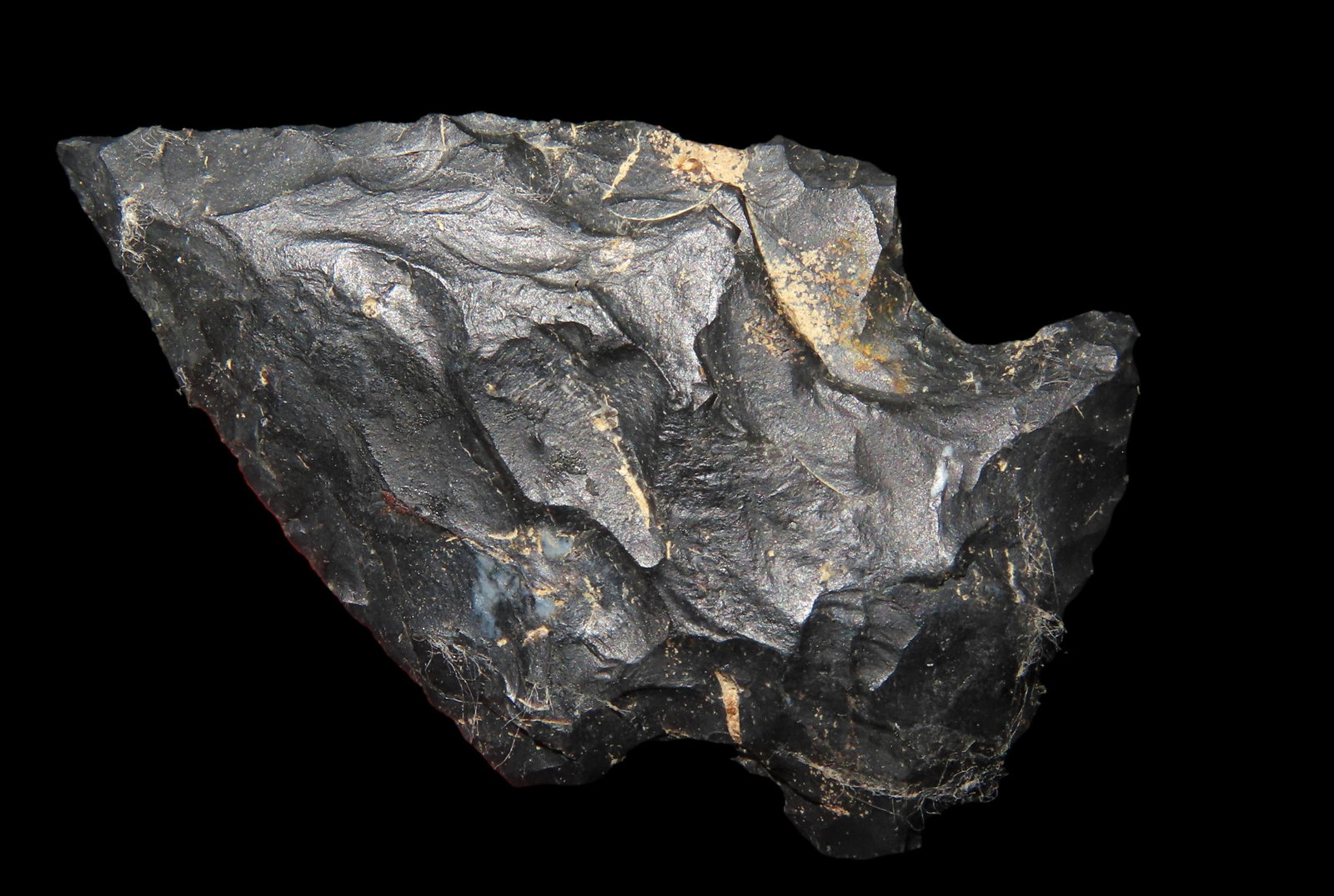 1 7/8" COSHOCTAN HOPEWELL SNYDERS FOUND IN DELAWARE COUNTY OHIO, NATIVE AMERICAN INDIAN ARROWHEAD, (1 of 4)