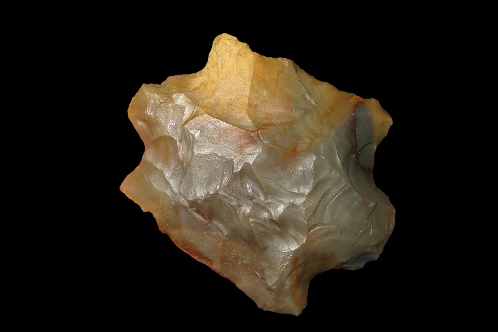 1 5/8" Turtle Effigy Dickey COA found in Limestone County Alabama Eccentric: 1 5/8" Turtle Effigy Dickey COA found in Limestone County Alabama Eccentric