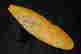 item-128243206=2