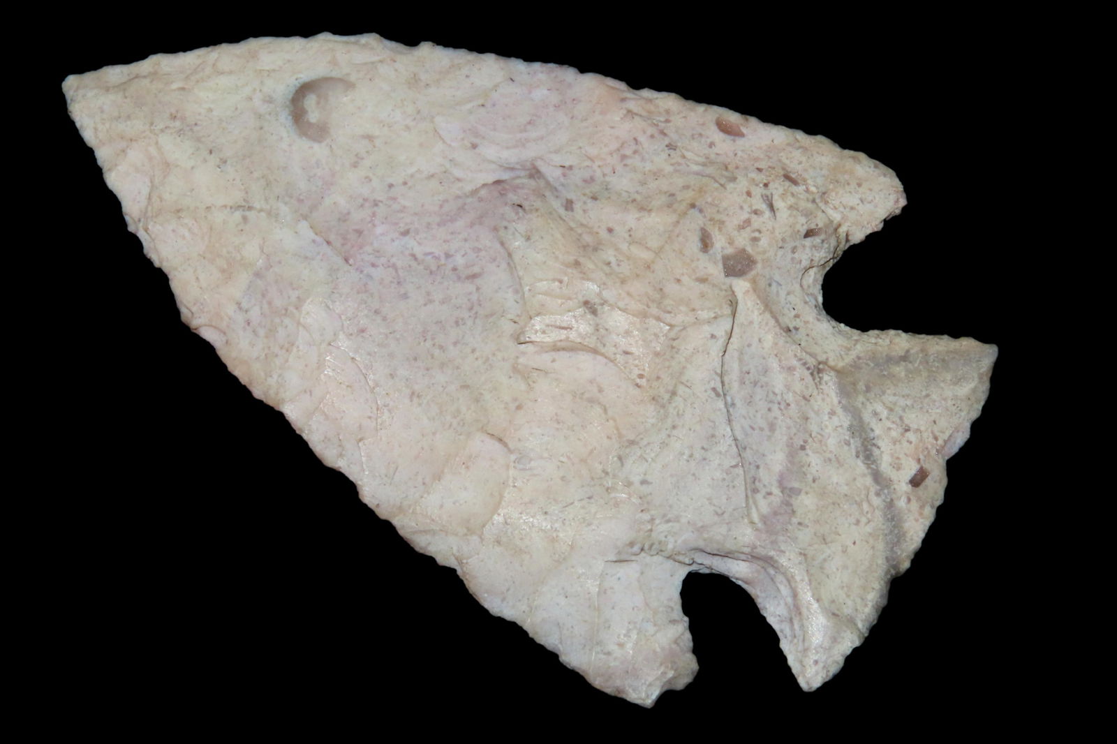 2 15/16" Snyders, Motley COA, Ray CO MO (1 of 10)