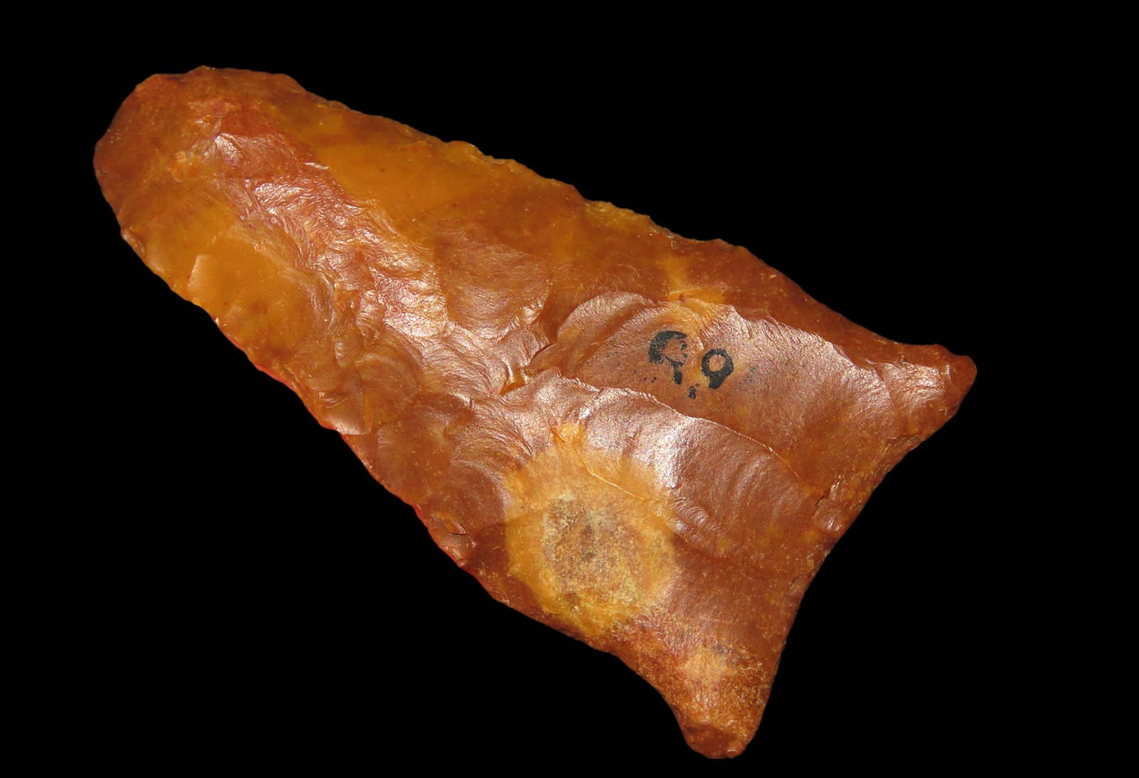 2" Dalton found in Clay County, Arkansas EX. ., Sam Wasion: 2" Dalton found in Clay County, Arkansas EX. ., Sam Wasion