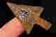 item-128243506=2