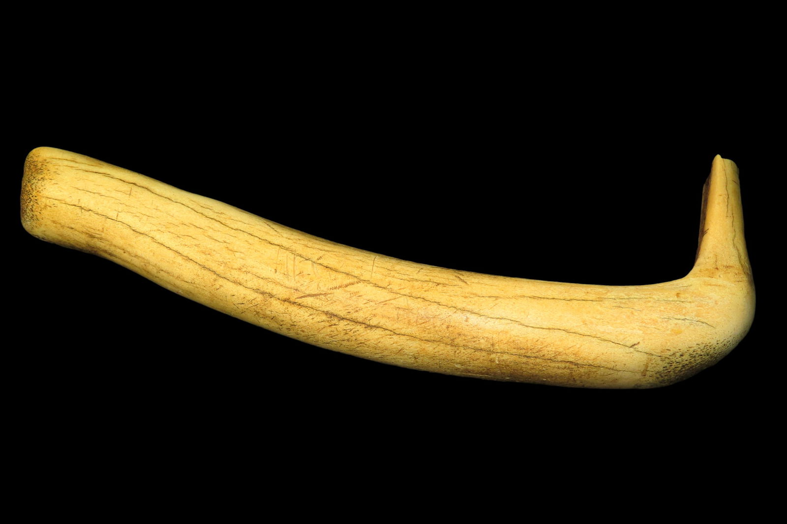 12" Bone Flesher Mandan, Found in South Dakota EX. James Vroom Collection: 12" Bone Flesher Mandan, Found in South Dakota EX. James Vroom Collection