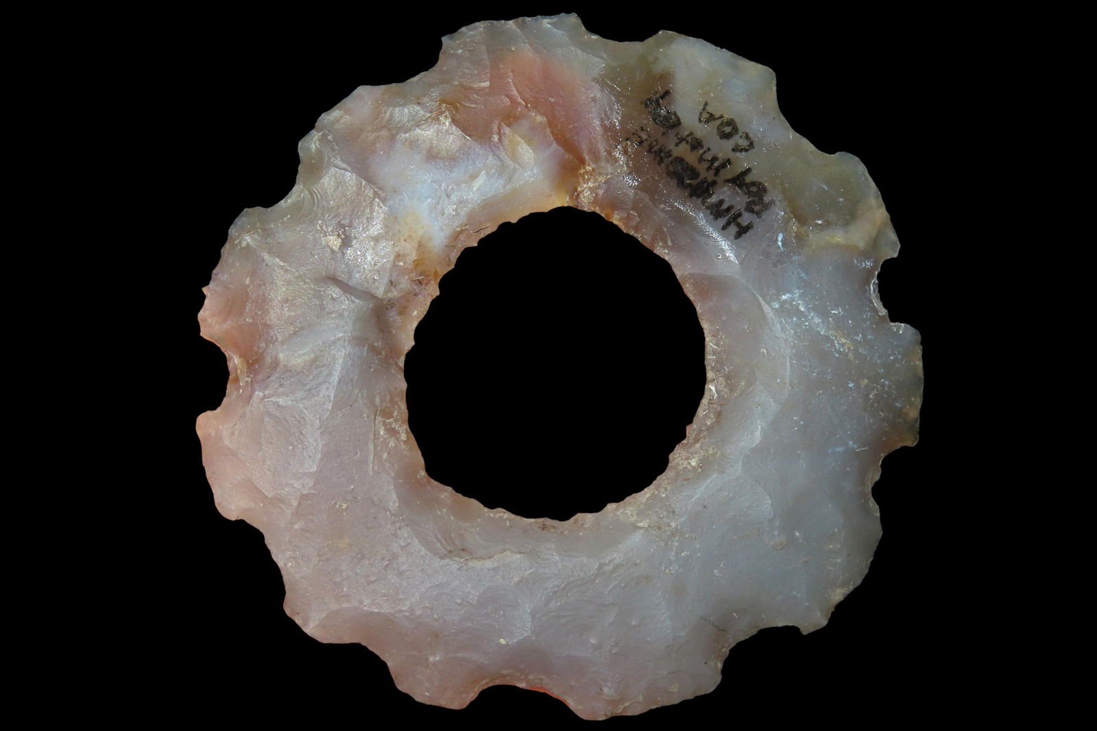 3 1/8" Mayan Eccentric, Motley COA, Found in Belize (1 of 9)