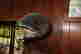 item-130149240=2