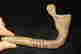 item-130434550=2