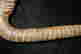 item-130434550=5