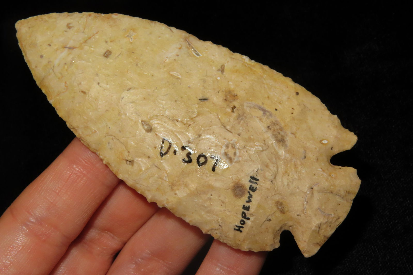 3 5/8" Dovetail found in Wisconsin EX. Sam Wasion Collection Authentic Native American  Artifact (1 of 8)