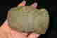 item-130434954=3