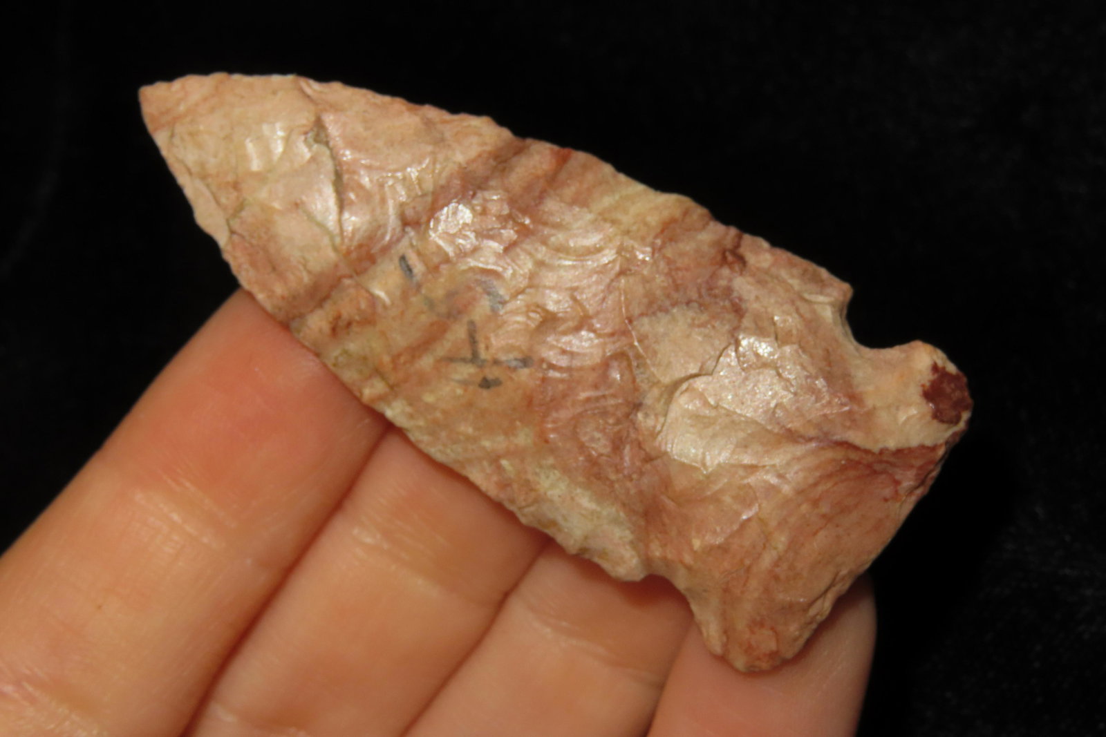 2 1/4" Robinson EX. Sam Wasion Collection Authentic Native American  Artifact (1 of 6)
