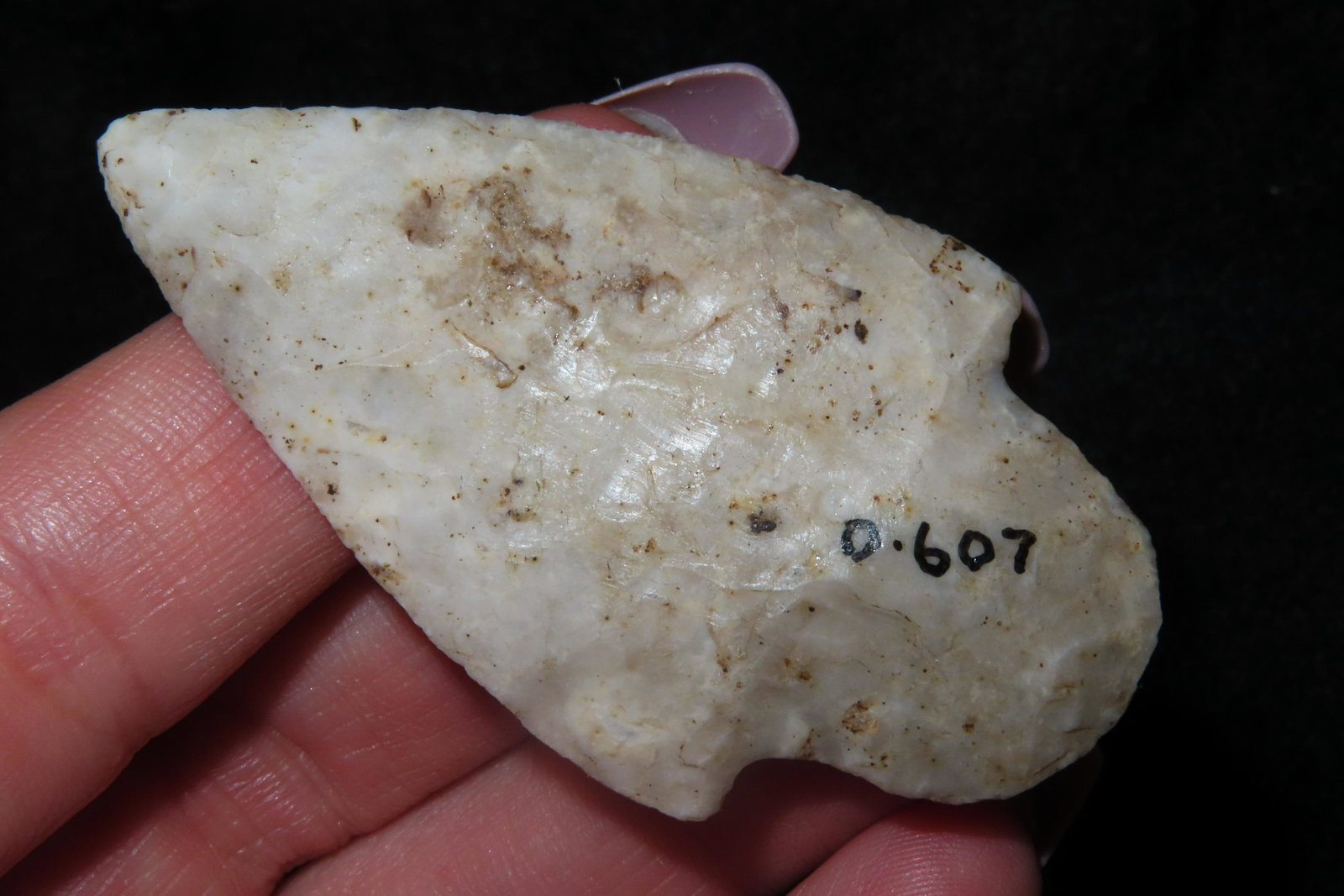 2 1/4" Adena Ex Sam Wasion Collection (1 of 6)