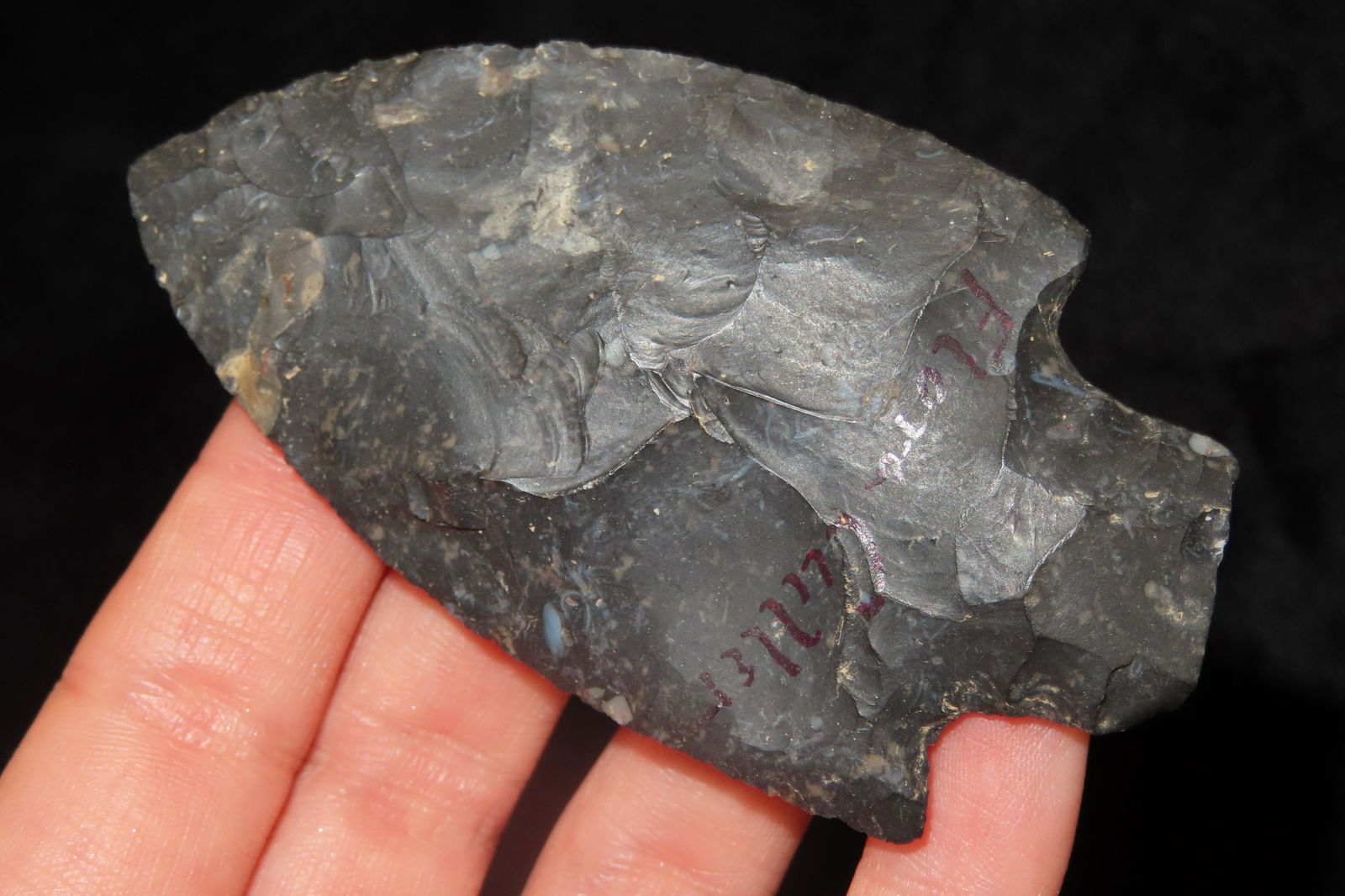 3 1/8" Adena Robbins Ex Sam Wasion Collection (1 of 6)