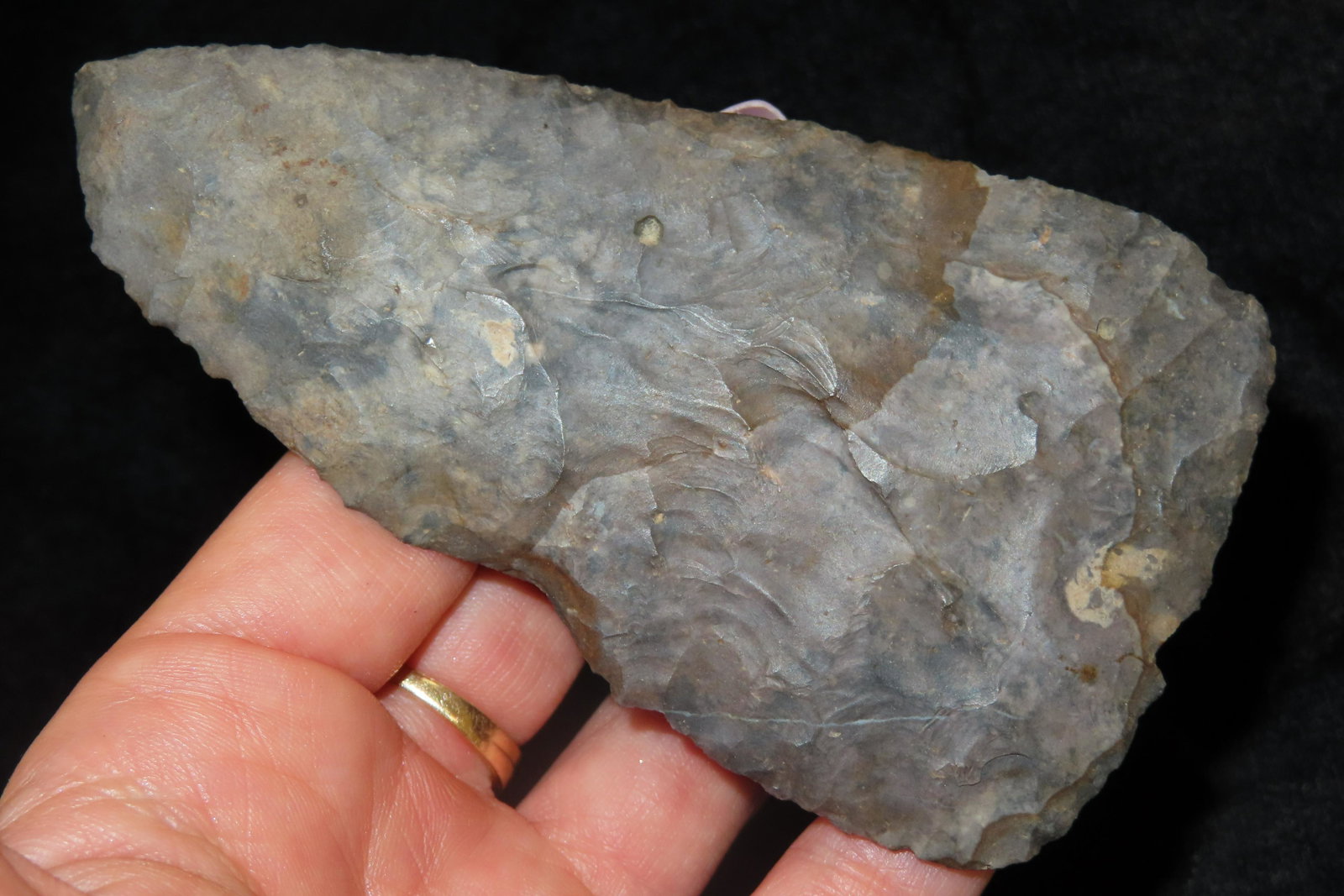 4 1/8" Cobbs Ex Sam Wasion Collection (1 of 6)