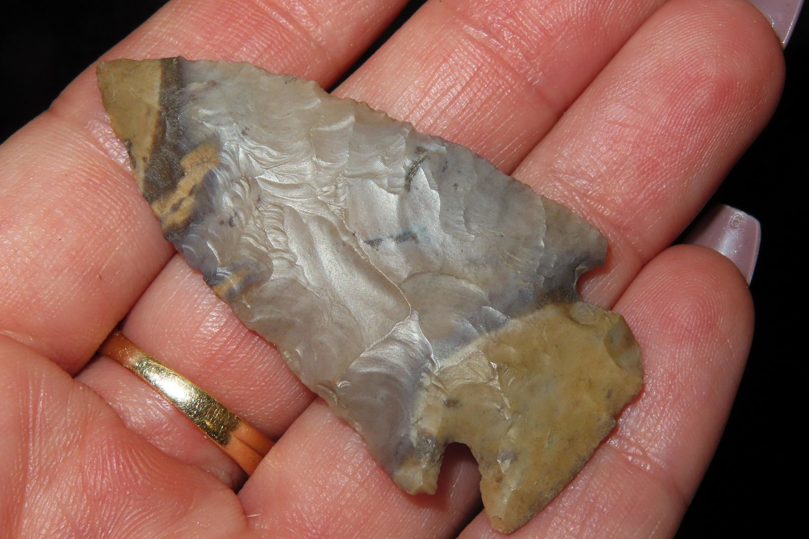 2" Hardin Ex Sam Wasion Collection (1 of 4)