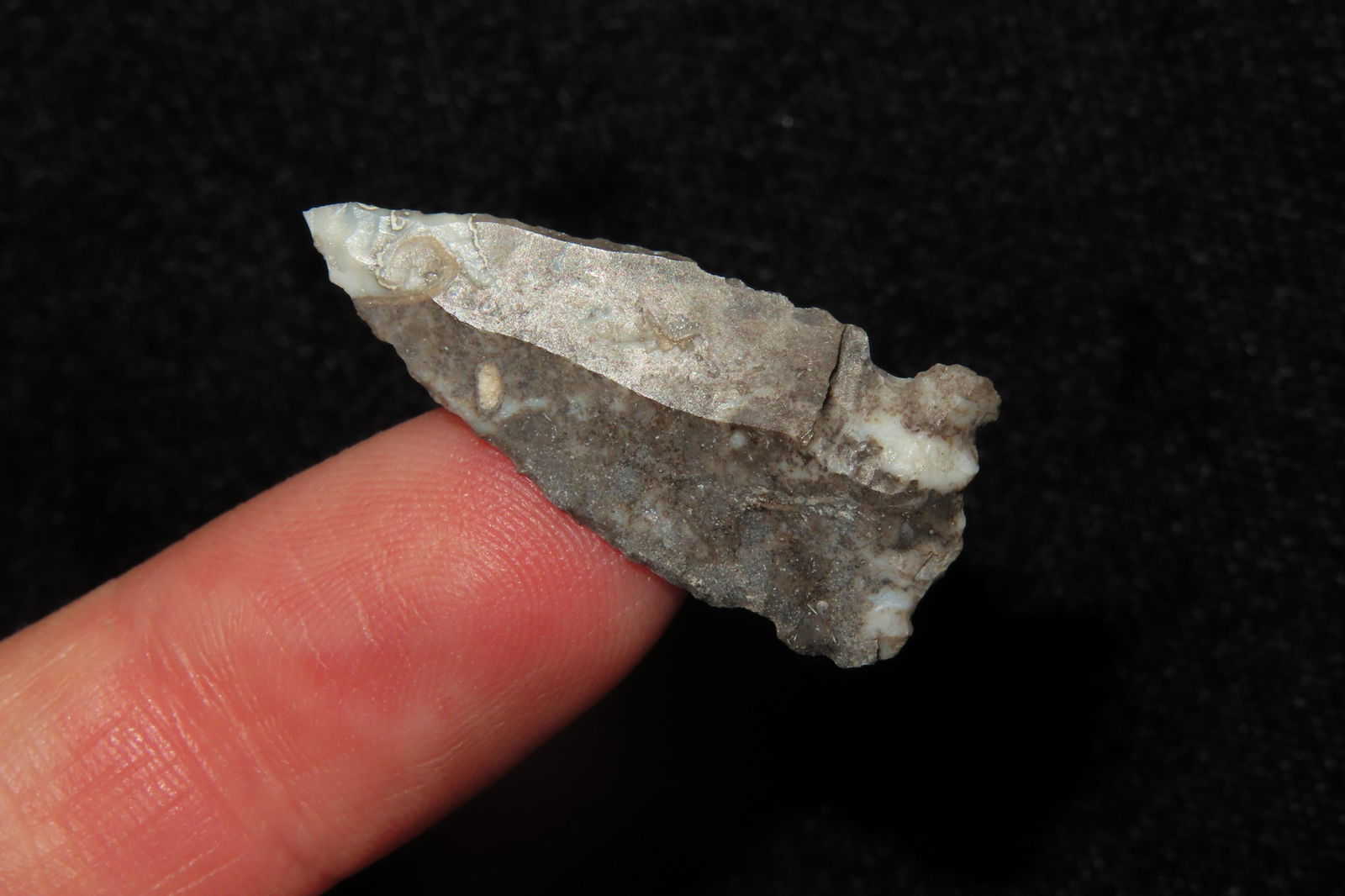 1" Dart Point Ex Sam Wasion Collection (1 of 7)