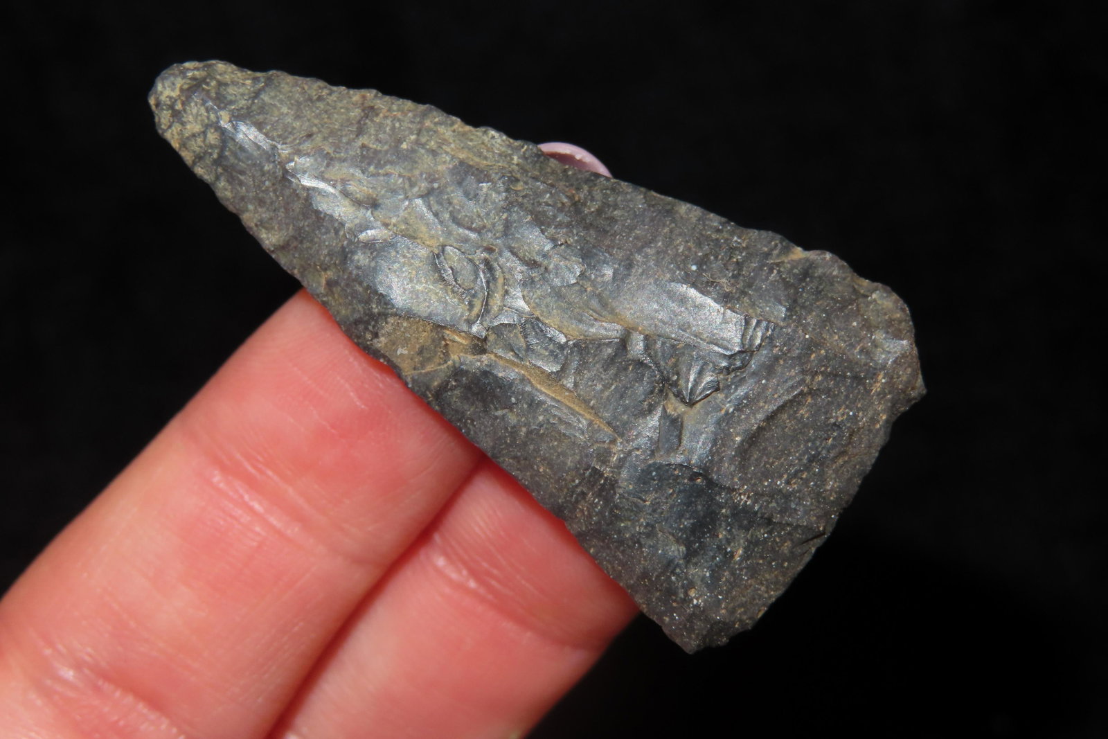 1 3/4" Triangle Ex Sam Wasion Collection (1 of 6)