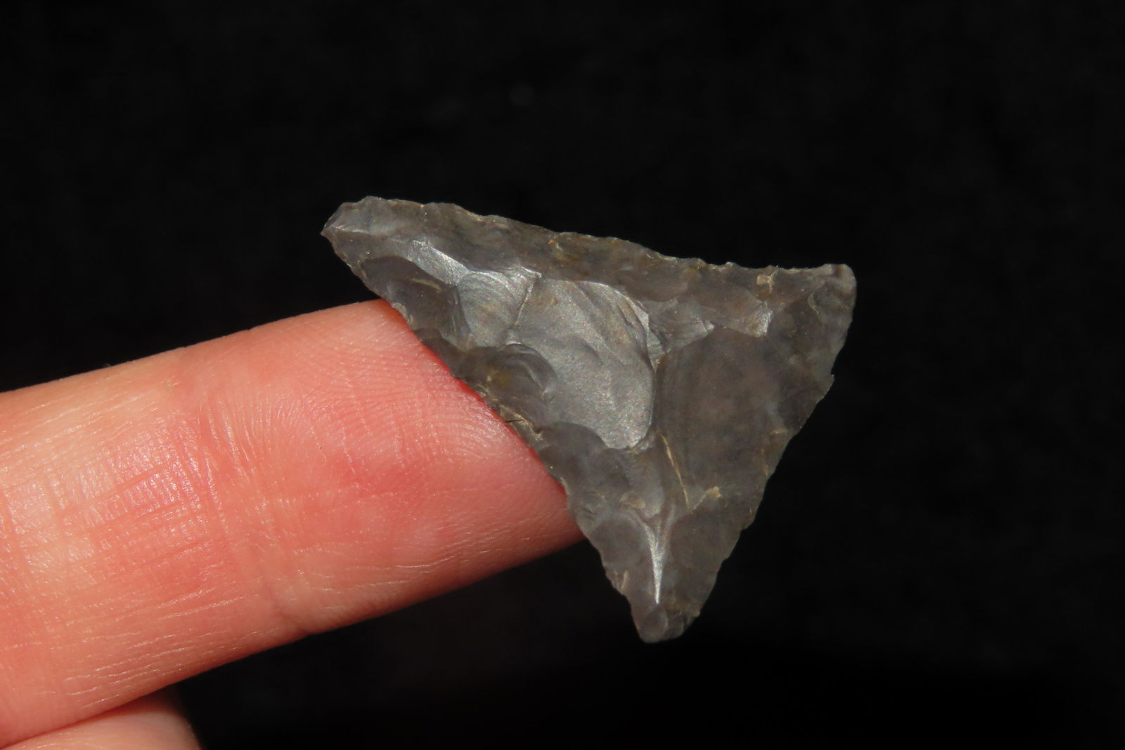 7/8" Triangle Ex Sam Wasion Collection (1 of 6)