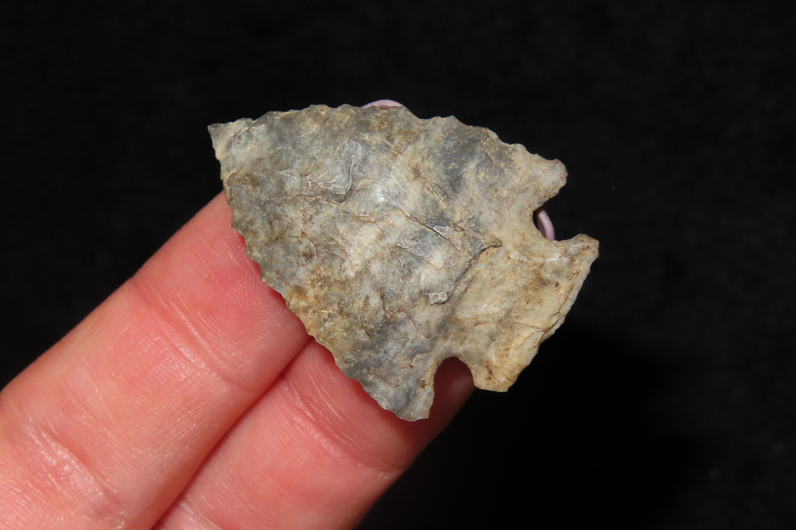 1 1/4" Corner Notch Ex Sam Wasion Collection (1 of 6)