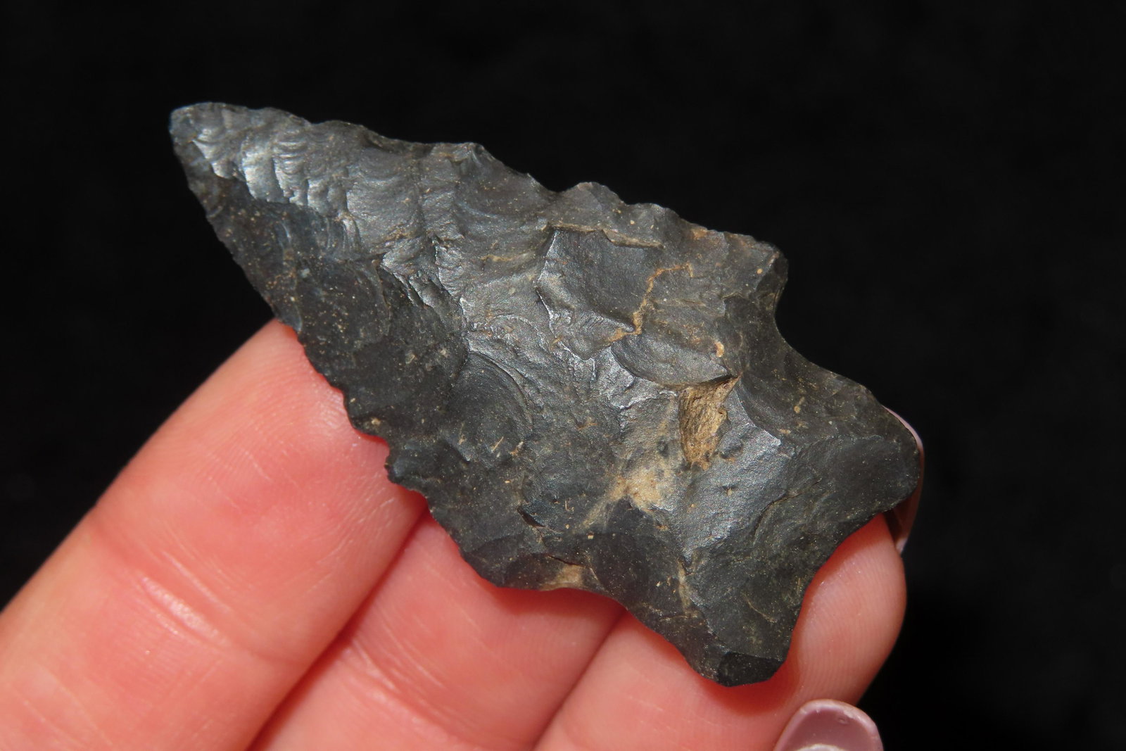 1 3/4" Kirk Ex Sam Wasion Collection (1 of 6)