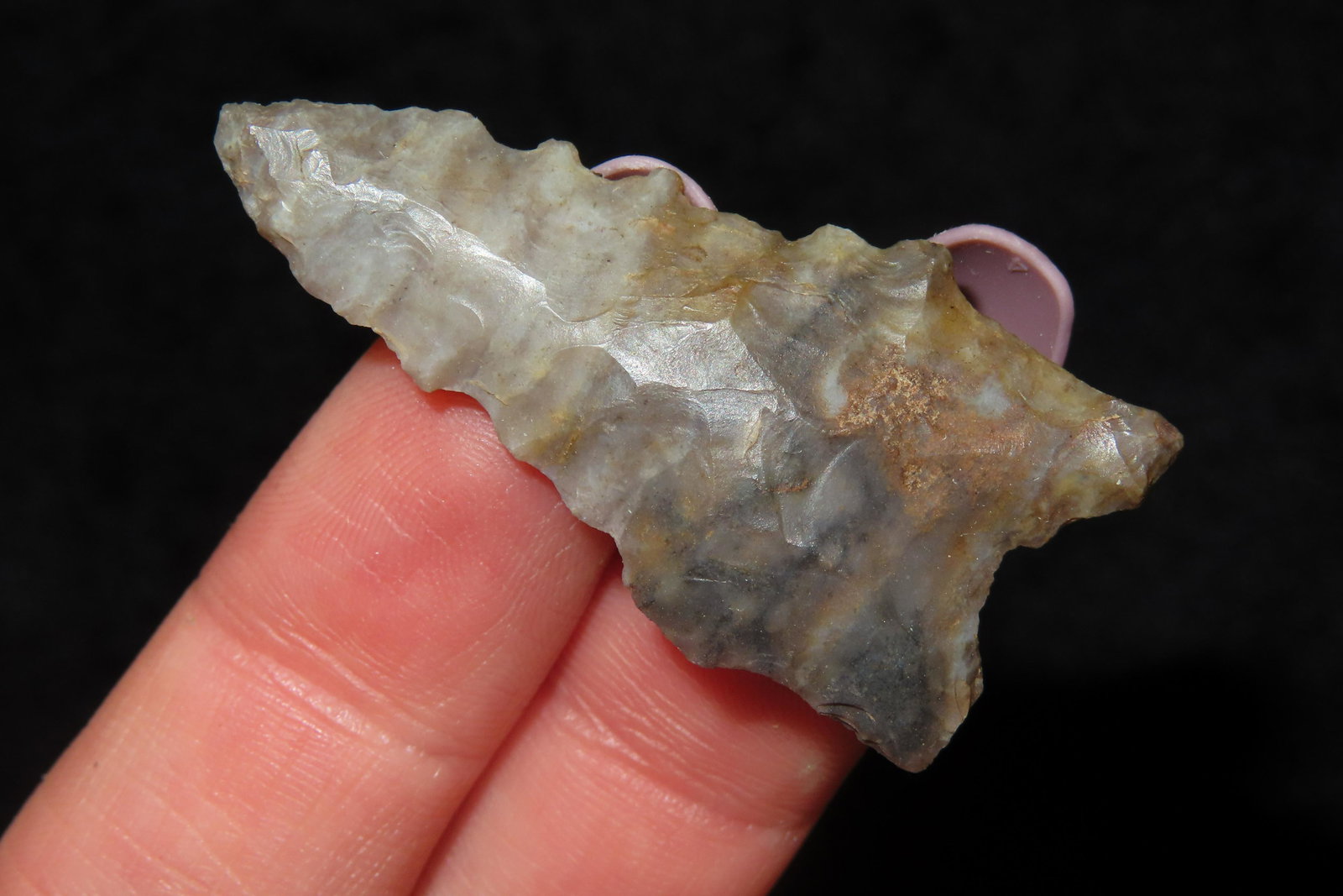 1 5/8" Dalton Ex Sam Wasion Collection (1 of 6)