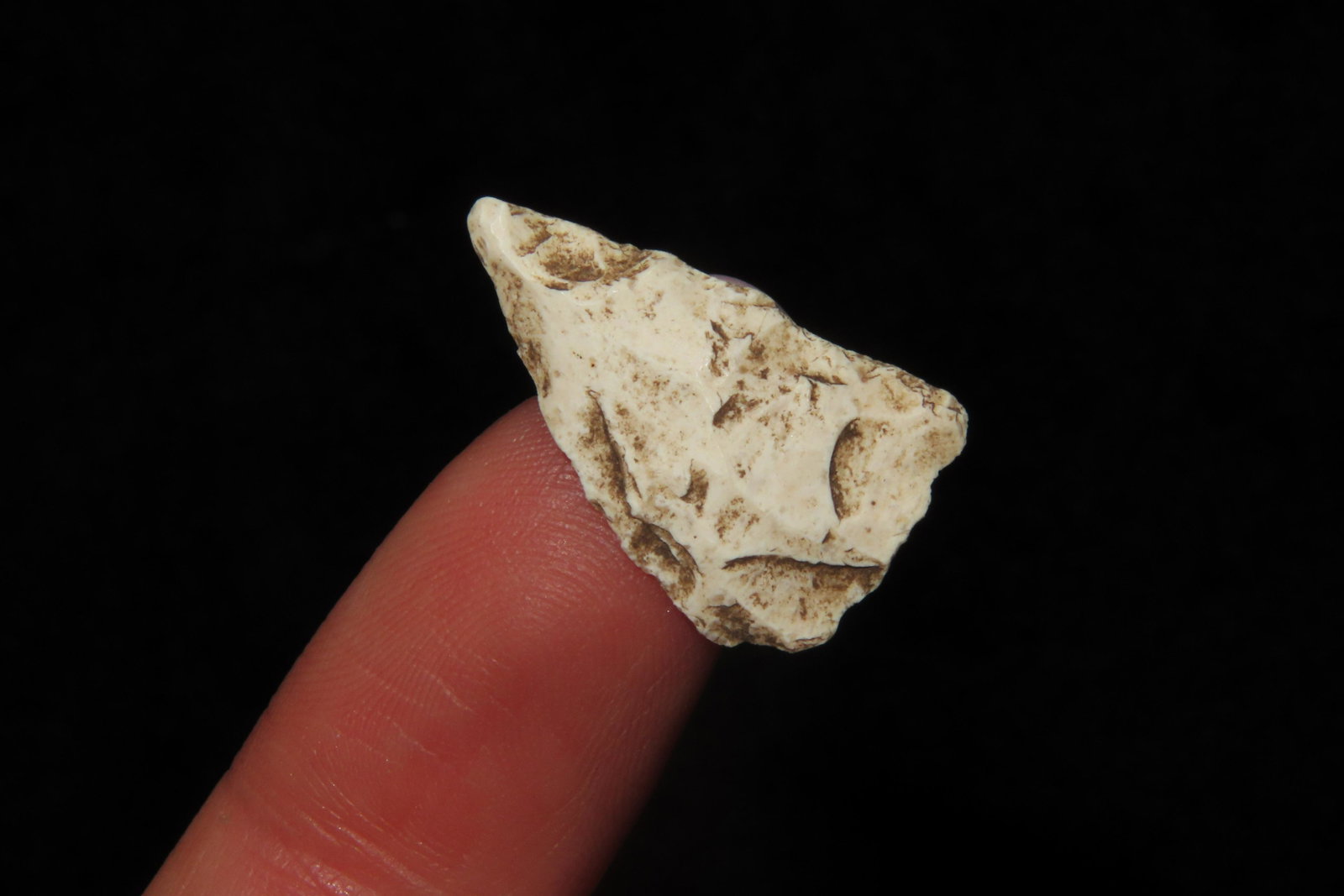 3/4" Triangle Bird Point Ex Sam Wasion Collection (1 of 6)