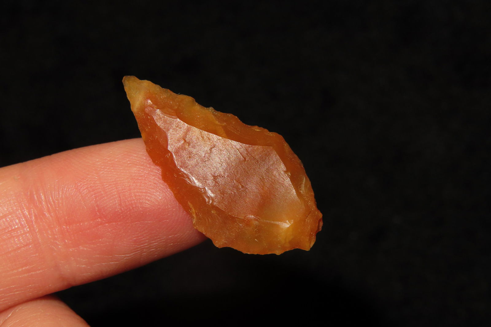 1" Triangle Bird Point Ex Sam Wasion Collection (1 of 6)