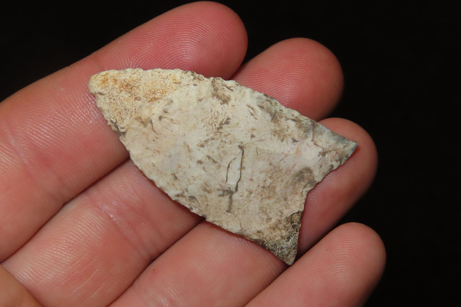 1 3/4" Dalton out of the Jim Millard Collection, South East Iowa / North East Missouri (1 of 5)