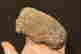 item-130934655=3