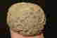 item-130934656=2
