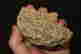 item-130934656=3