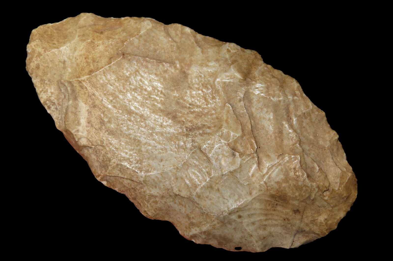 3 7/8" Oval Blade out of the Jim Millard Collection, South East Iowa / North East Missouri: 3 7/8" Oval Blade out of the Jim Millard Collection, South East Iowa / North East Missouri