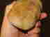 item-131882765=6