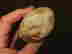 item-131882765=7
