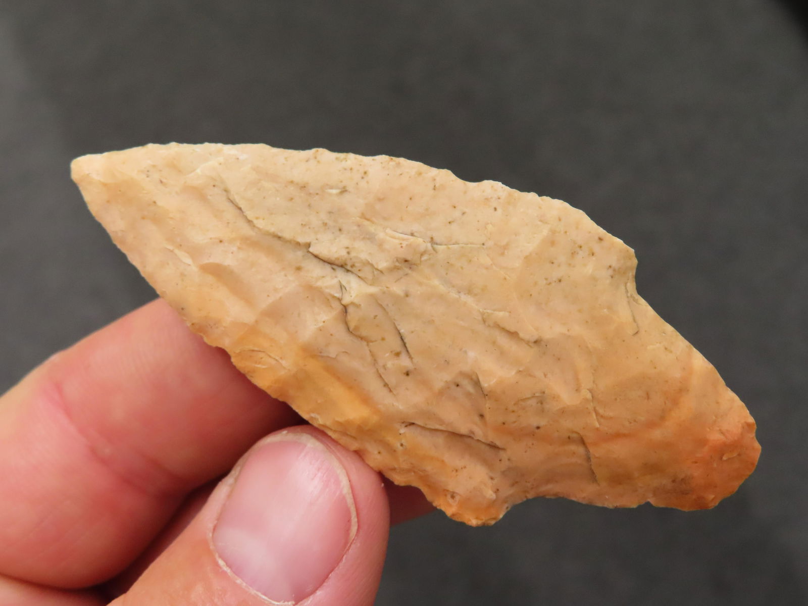 2.15/16" Colorful Adena, Found near Sedalia Missouri, By Chad Robertson (1 of 5)