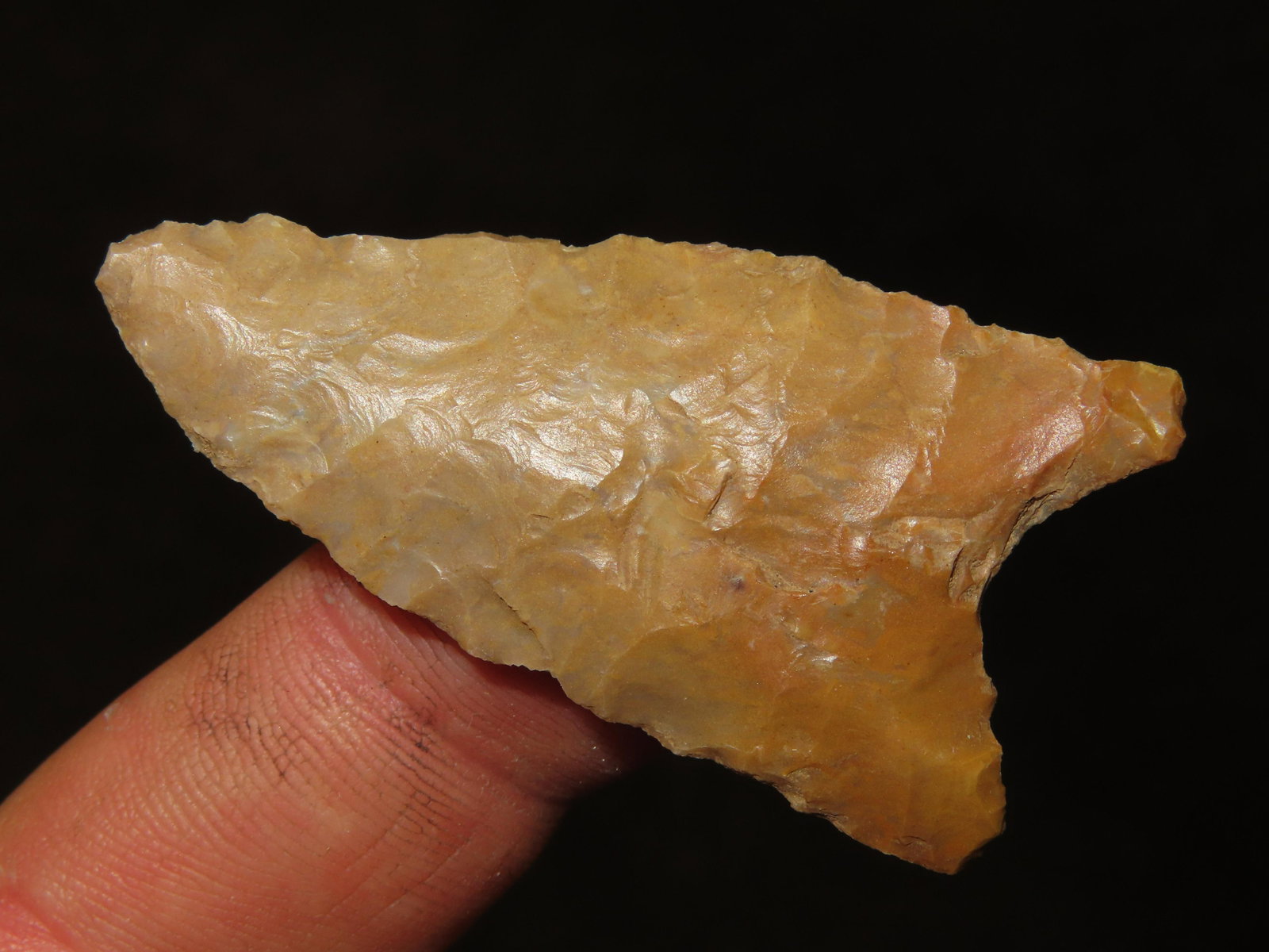 2" Dalton NE Arkansas, Ex Dennis Smith, Wood River Illinois (1 of 5)