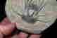 item-131896463=4