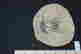 item-131896463=6