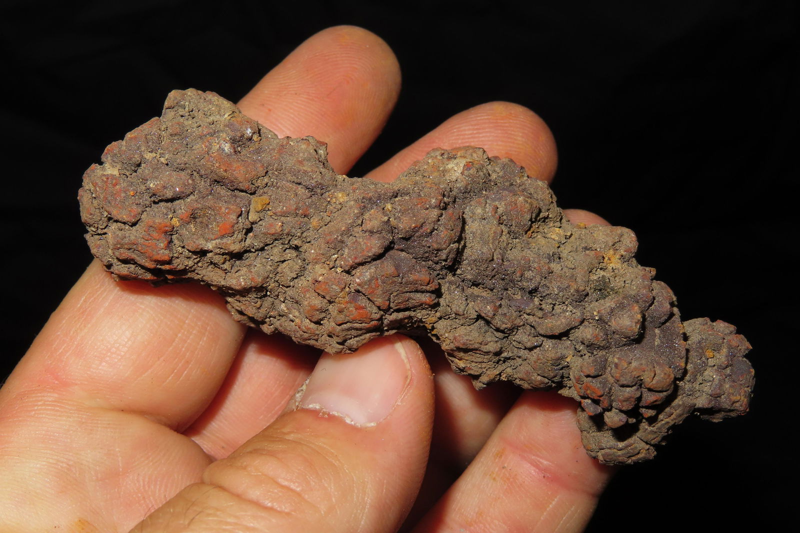 3.1/2" Ancient Fossilized Coprolite Dinosaur Poop / Dung (1 of 6)