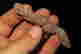item-131896470=3