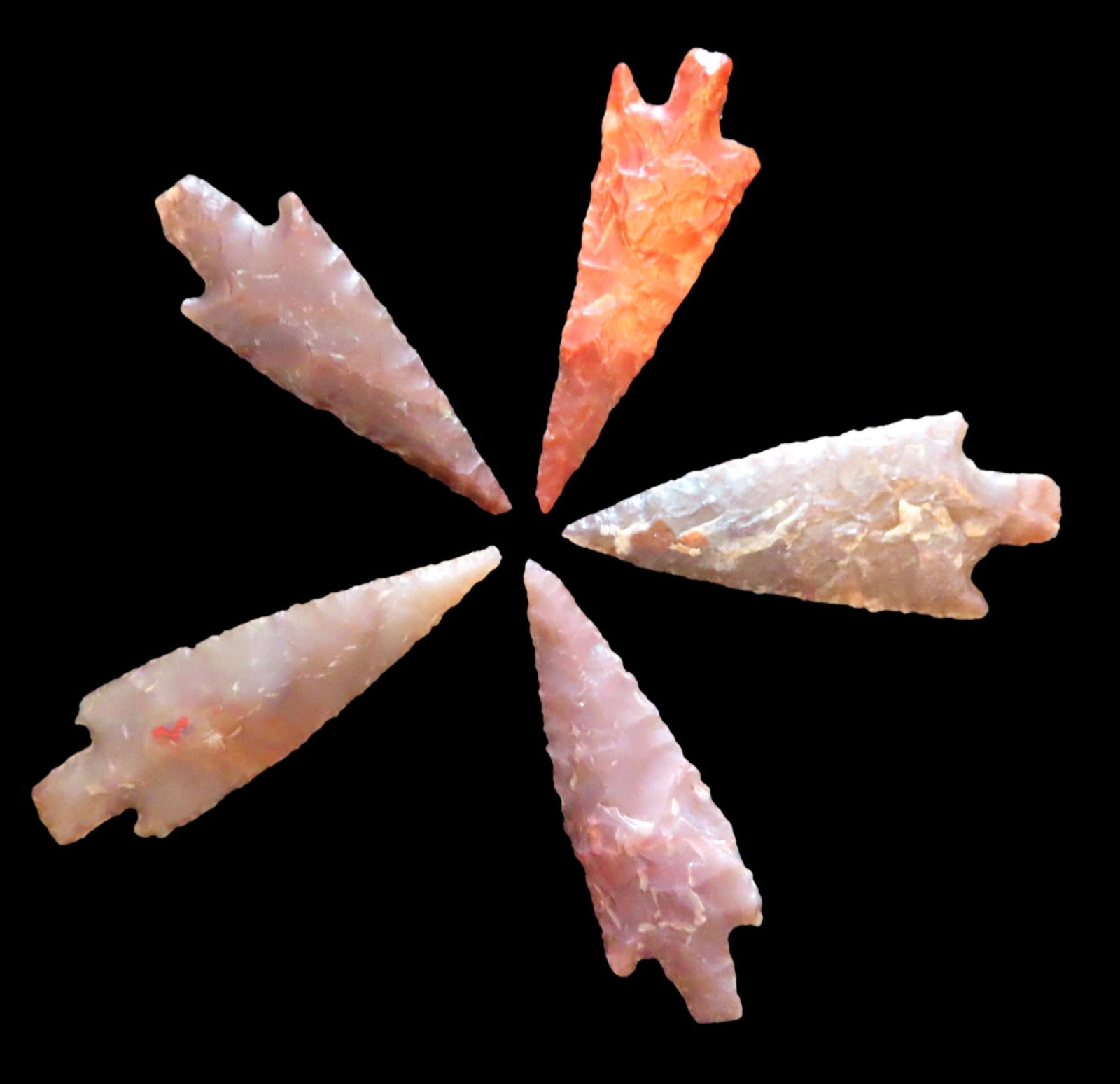 Grouping of Authentic Neolithic Arrowheads found in Africa.   These points come from the neolithic (1 of 3)