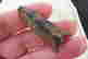 item-131058249=2