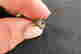 item-131058262=3
