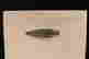 item-131058268=2
